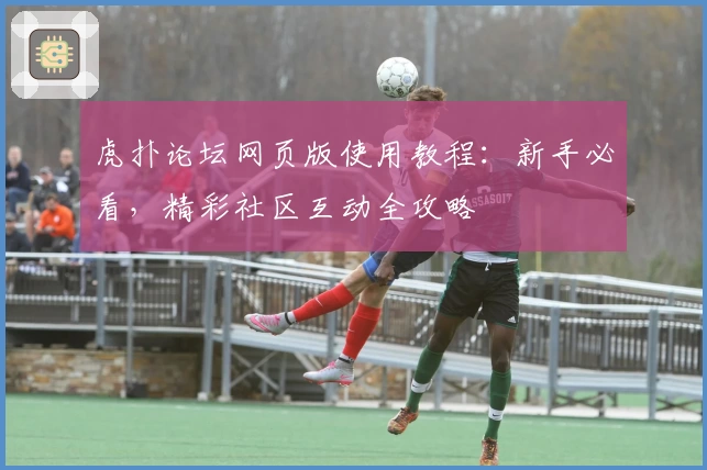 虎扑论坛网页版使用教程：新手必看，精彩社区互动全攻略
